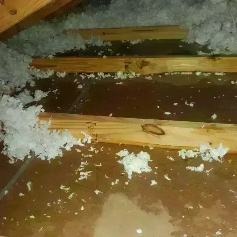 Attic Water Damage in Irvington, NY